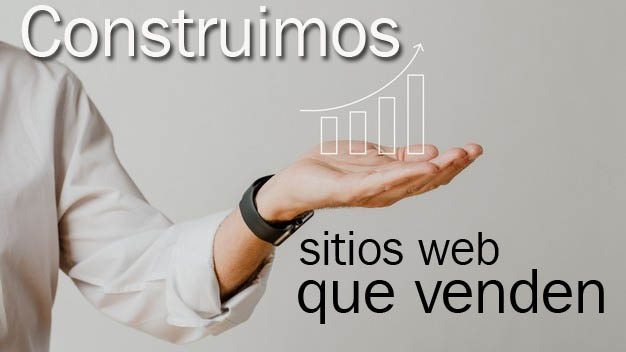 diseño web en los cabos